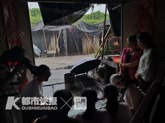 菇棚外下起大雨 丨 摄影 冯志刚