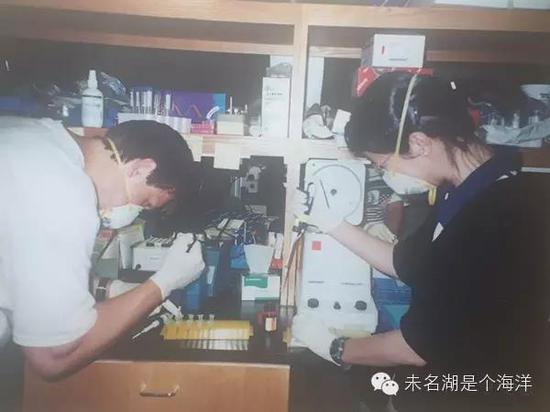 在麻省woods hole暑期上课做RNA抽提实验