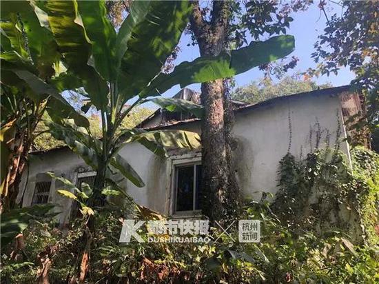 旧居西面,房子周边新宝GG娱乐注册近一人高注册新宝GG杂草。