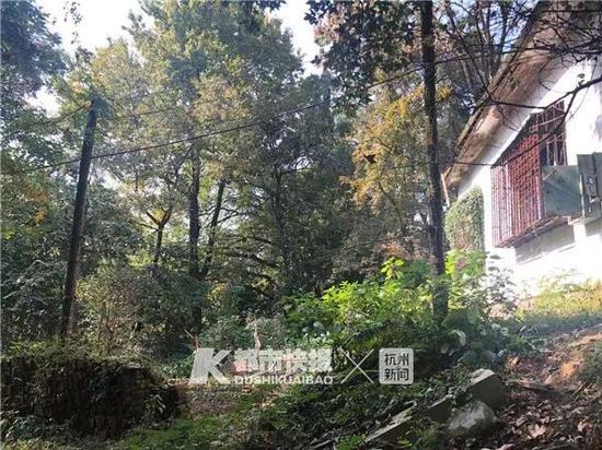 杂草丛生注册新宝GG旧宅前院,连石阶都无章乱放着