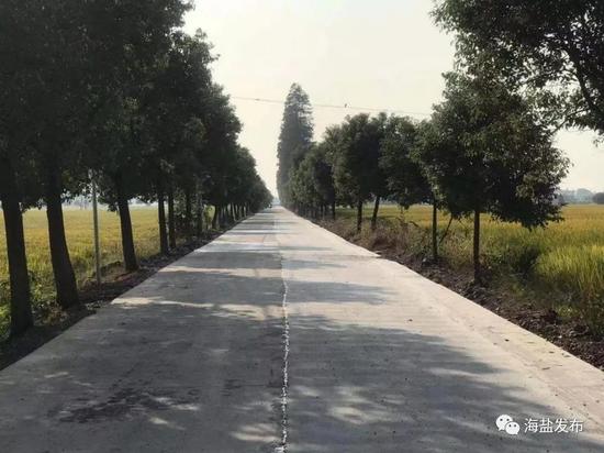 改造提升后▽