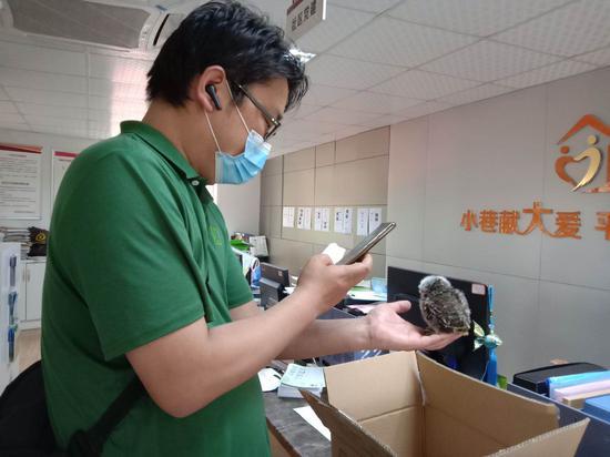 救助中心工作人员在拍照取证。 白鹤街道供图