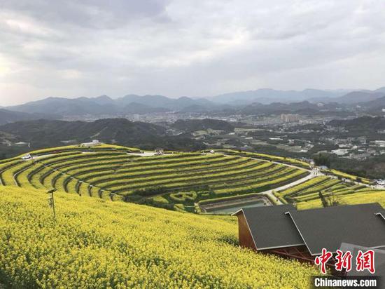 富阳黑山顶。 江杨烨 摄