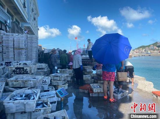渔民在搬运海鲜 郑洁 摄