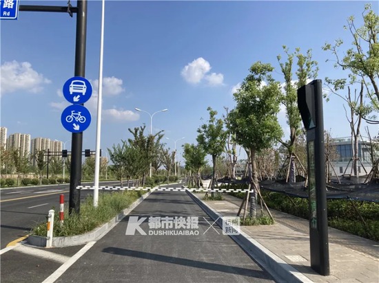 红绳缠绕在红绿灯杆子和人行道上的树上,横跨了整个非机动车道模拟图