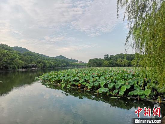 浙江杭州迎持续高温天气。　张煜欢　摄