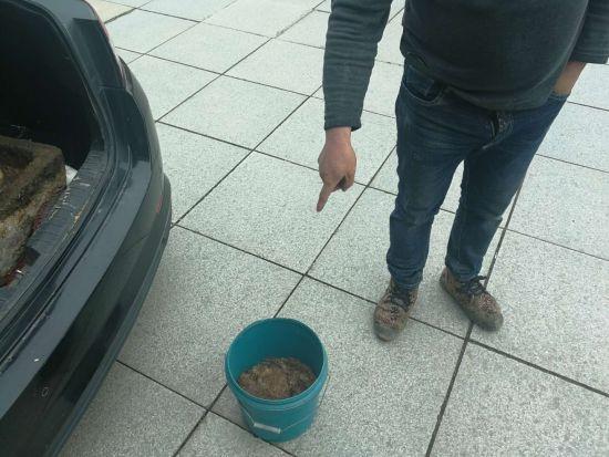 图为:松鼠幼崽。 警方提供