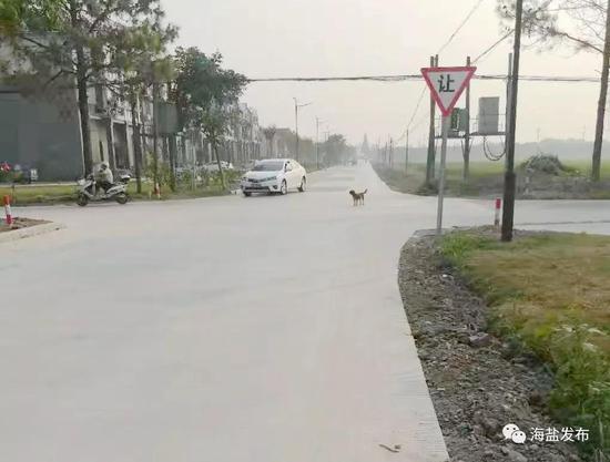 改造提升后▽