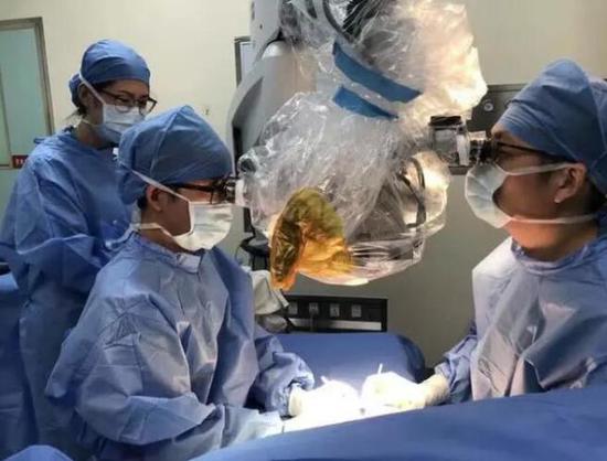 (王扬剑副主任医师和医护团队正在给妮妮做手术)