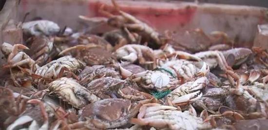 东海将全面进入休渔禁渔期 舟山新鲜渔货涨价