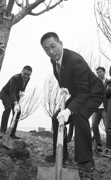 西湖大学校长施一公种植樱花