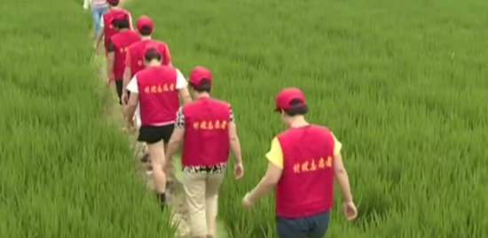 嵊州村嫂志愿服务 乡风文明的引领者