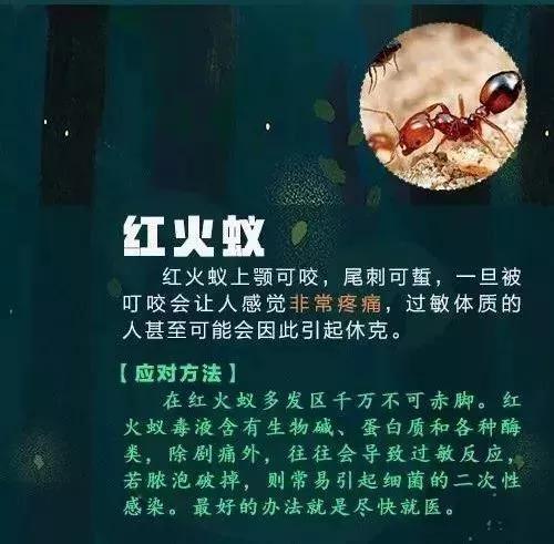 赵姓有多少人口_赵姓有多少人口 赵姓起源与分布(3)