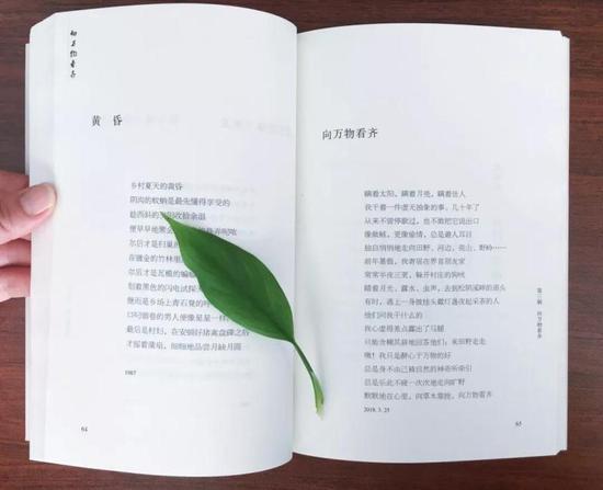 诗集《向万物看齐》辑录了126首诗 遂昌宣传部提供