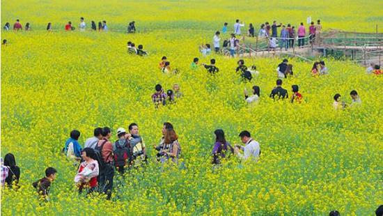 淘当铺:小长假出游 银子哪里来 大调查