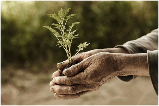 沃投资正式接入平安前海征信系统