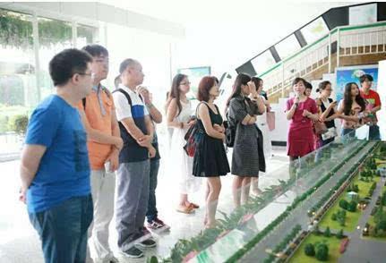 2016金鼠标国际数字营销节完美落幕 蒙牛达能