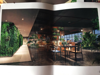 盛世阅读网低调上线 背景雄厚不容小视