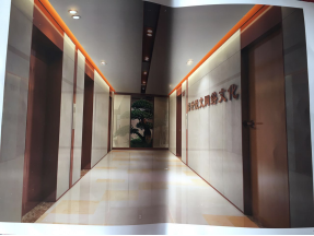 盛世阅读网低调上线 背景雄厚不容小视