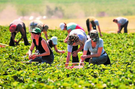 中鑫汇达【钟锦有】偏爱国家扶持行业,精选垂