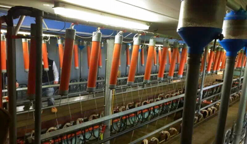 佳贝艾特生产大揭秘,见证荷兰全产业链