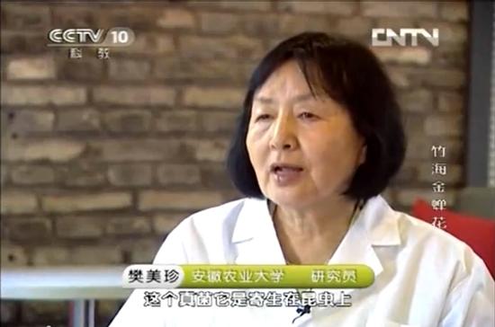 泛亚金蝉花,究竟是圈钱骗局、三无产品,还是