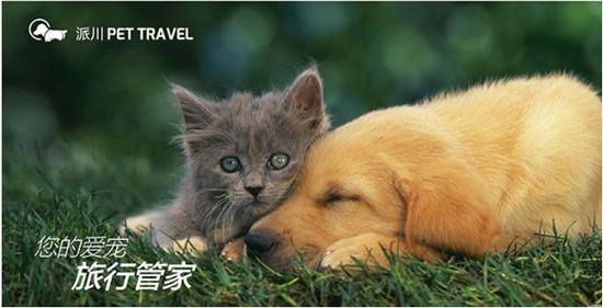 上海派川宠物托运带宠物去新西兰
