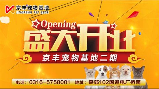 燕郊京丰宠物市场二期隆重开业