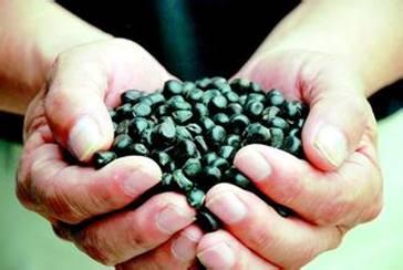 国商通创新·创业·创富论坛暨国商通智慧农业