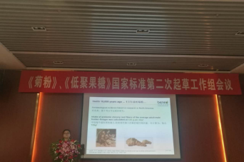 寰龙参加菊粉、低聚果糖食品配料国家标准起草