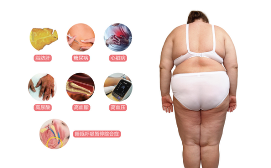 图 :七大肥胖并发症
