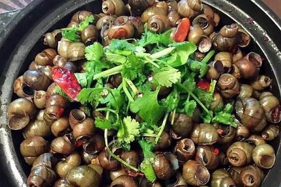 外地人组团来杭州捞螺蛳打了整整8船 螺蛳最好