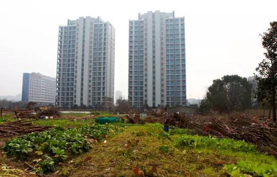 杭州舟山东路待升级2.0版 5年后还你一个高品