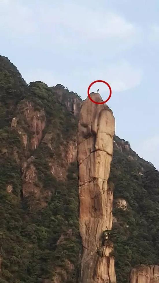 3个台州人爬上江西三清山 招来警察_新浪浙江_新浪网