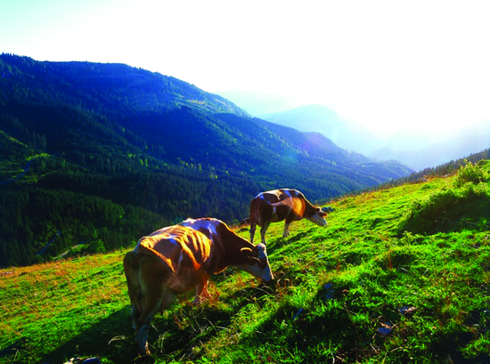 蒙牛瑞哺恩奶粉怎么样?为你解答宝妈心中的疑