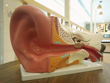 浙江5岁男孩掏颗耳屎花了5000元 医生:硬得像