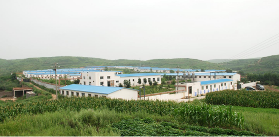 龙大肉食:打造肉类食品安全的龙大样本