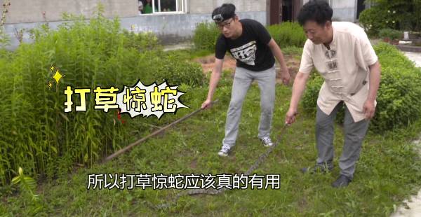 打蛇打七寸别轻易尝试 男子好奇抓蛇惨遭蛇咬