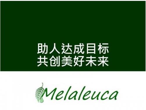 是美乐家亚洲第一个分公司,初期只靠洗碗精,洗衣精为主力产品,要突围
