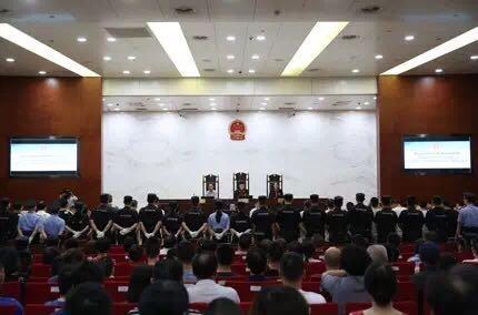 杭州21人用茶叶做饵诈骗156亿 吸收会员20余