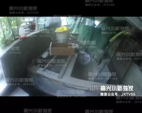 对于这户人家养鸡的爱好,邻居们可是深恶痛绝,很多人都因为这些鸡,晚上睡不好觉,也不敢开窗。