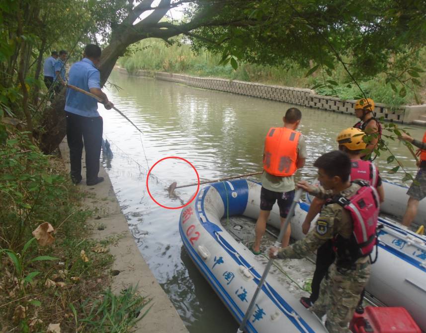 据了解,报警人李某在斜桥镇万星村承包水田种植水稻,昨天临时叫死者林某到其田里帮忙干活。
