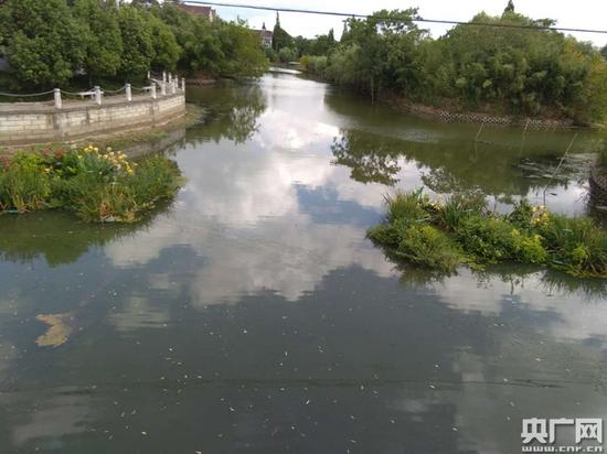 狭港
