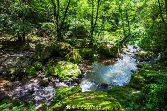 吃(网友MoorWorld/摄 )