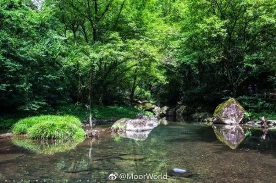 吃(网友MoorWorld/摄 )