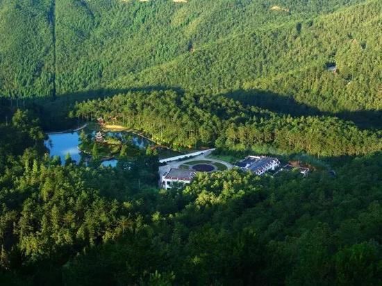 四海山森林康养林海