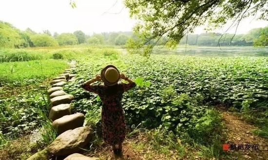 杭州昨天气温直降11度 下周气温又将回升至30