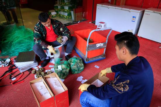 图为:店员正在将大闸蟹装进礼盒中。 王远 摄