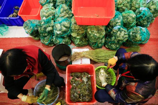 图为:捆蟹工正在捆蟹。 王远 摄
