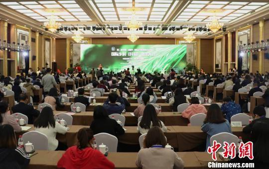第二届中国(桐庐)国际民宿发展论坛暨国际乡村(民宿)设计大会现场。 王刚 摄